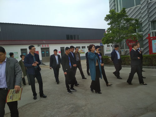 ɽ�|����ɭ�t���O��ɷ����޹�˾ 2019��ȫʡ�t�B�Y��ʾ���������M�����t�B�Y�Ϲ����F����